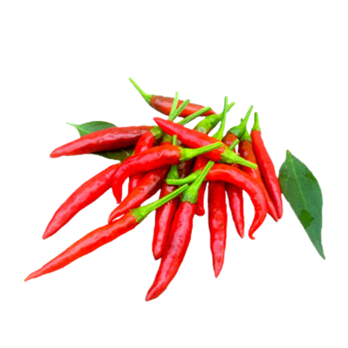 小米椒