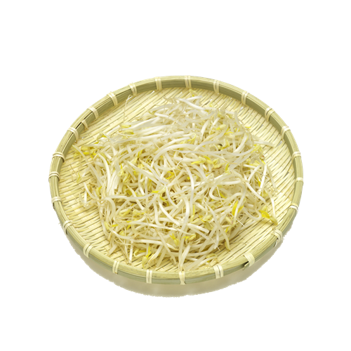 绿豆芽