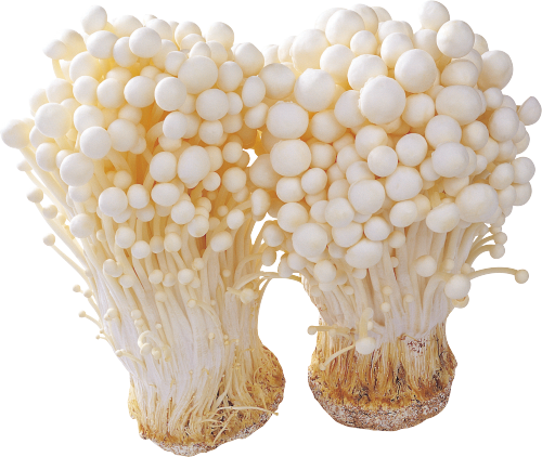金针菇