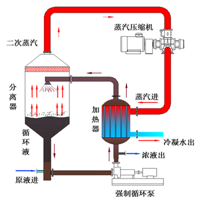 MVR强制循环设备流程