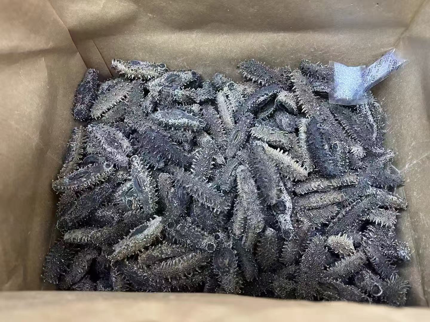 北海道 特選A級遼參 500g