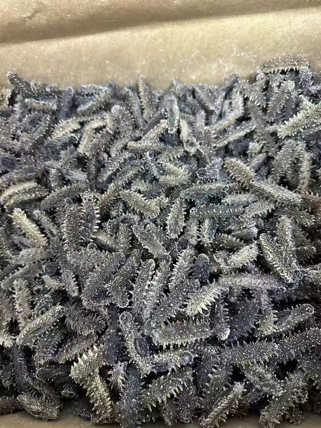 北海道 特選A級遼參 500g