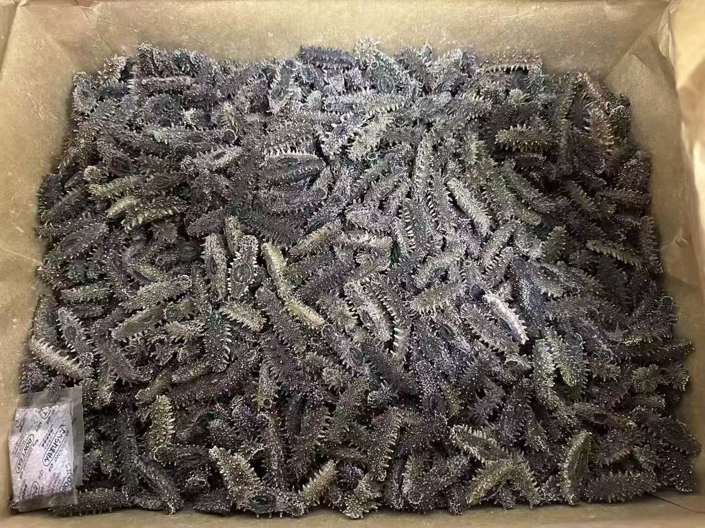 北海道 特選A級遼參 500g