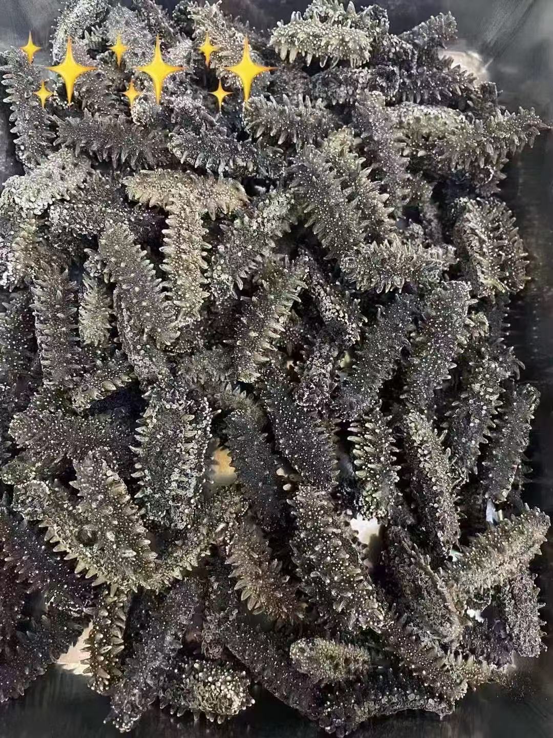 北海道 特選A級遼參 500g