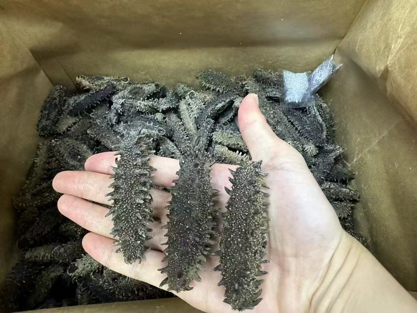 北海道 特選A級遼參 500g