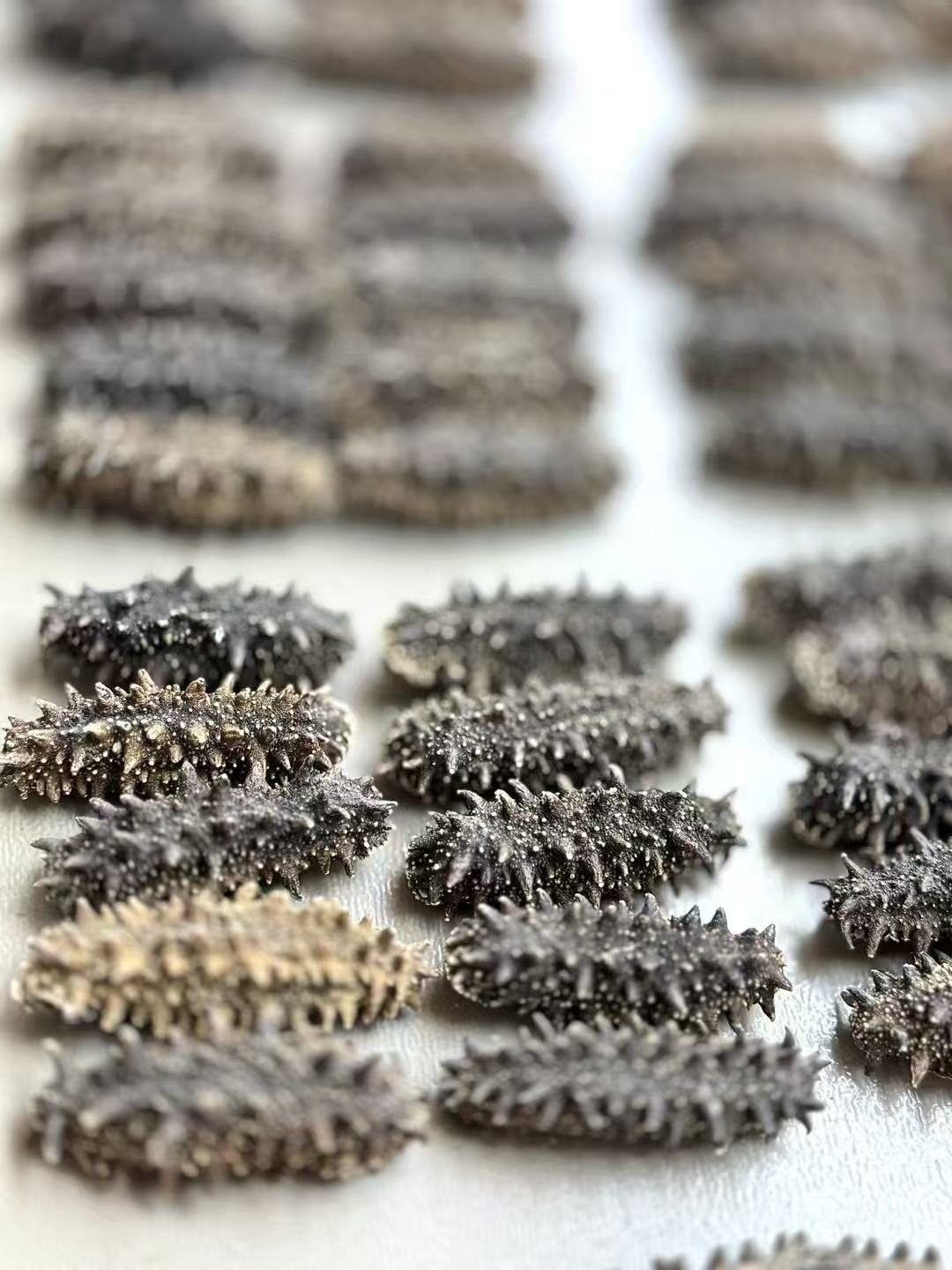 北海道 特選A級遼參 500g