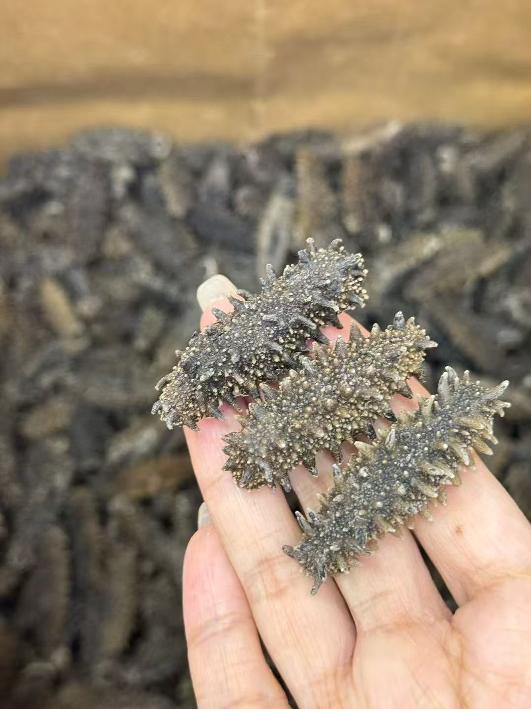 北海道 特選A級遼參 500g