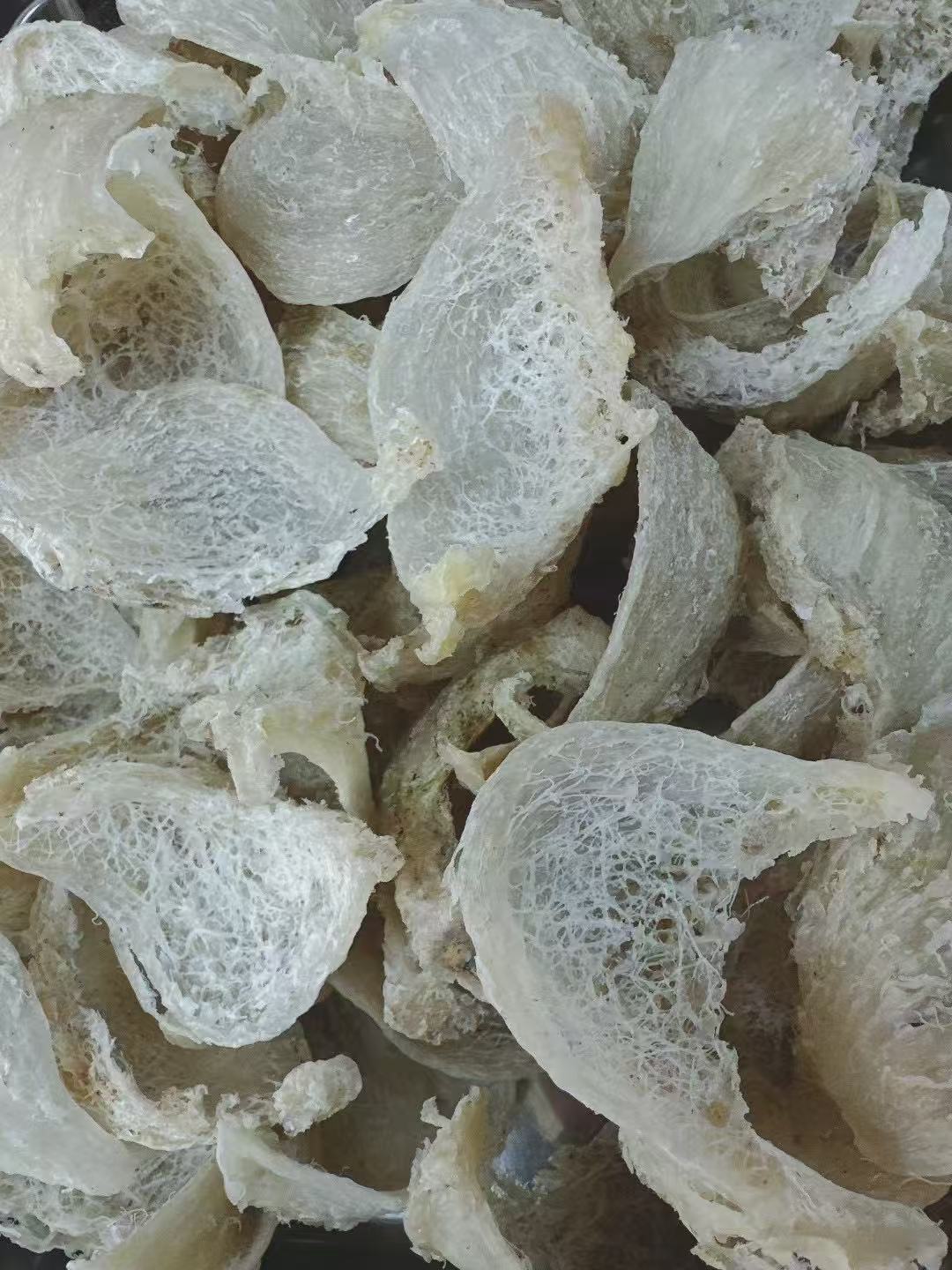越南 野生洞燕盞 600g 燕窩界皇上皇