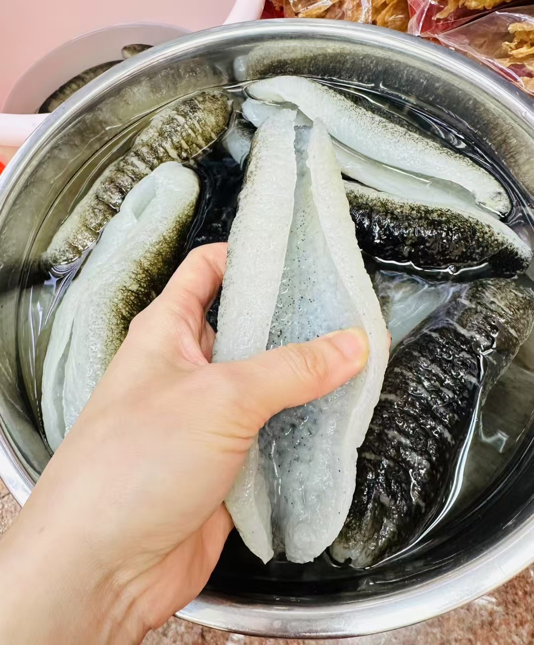 斯里蘭卡 禿參 一斤 500g