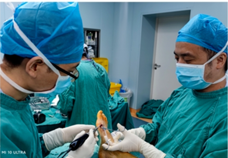 1_20250725_17534106759633820