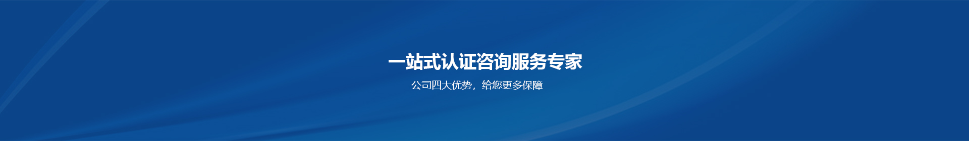 描述