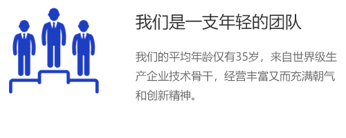 描述