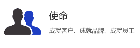 描述