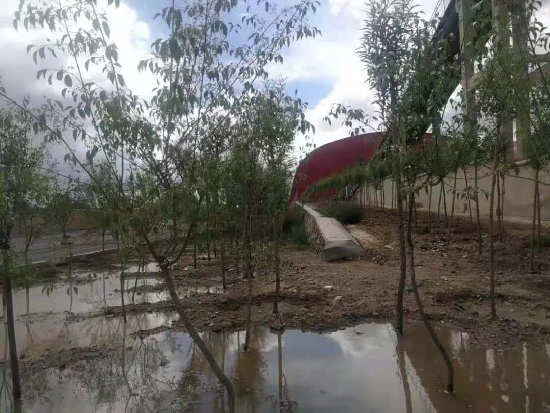 微信图片_20210719112312