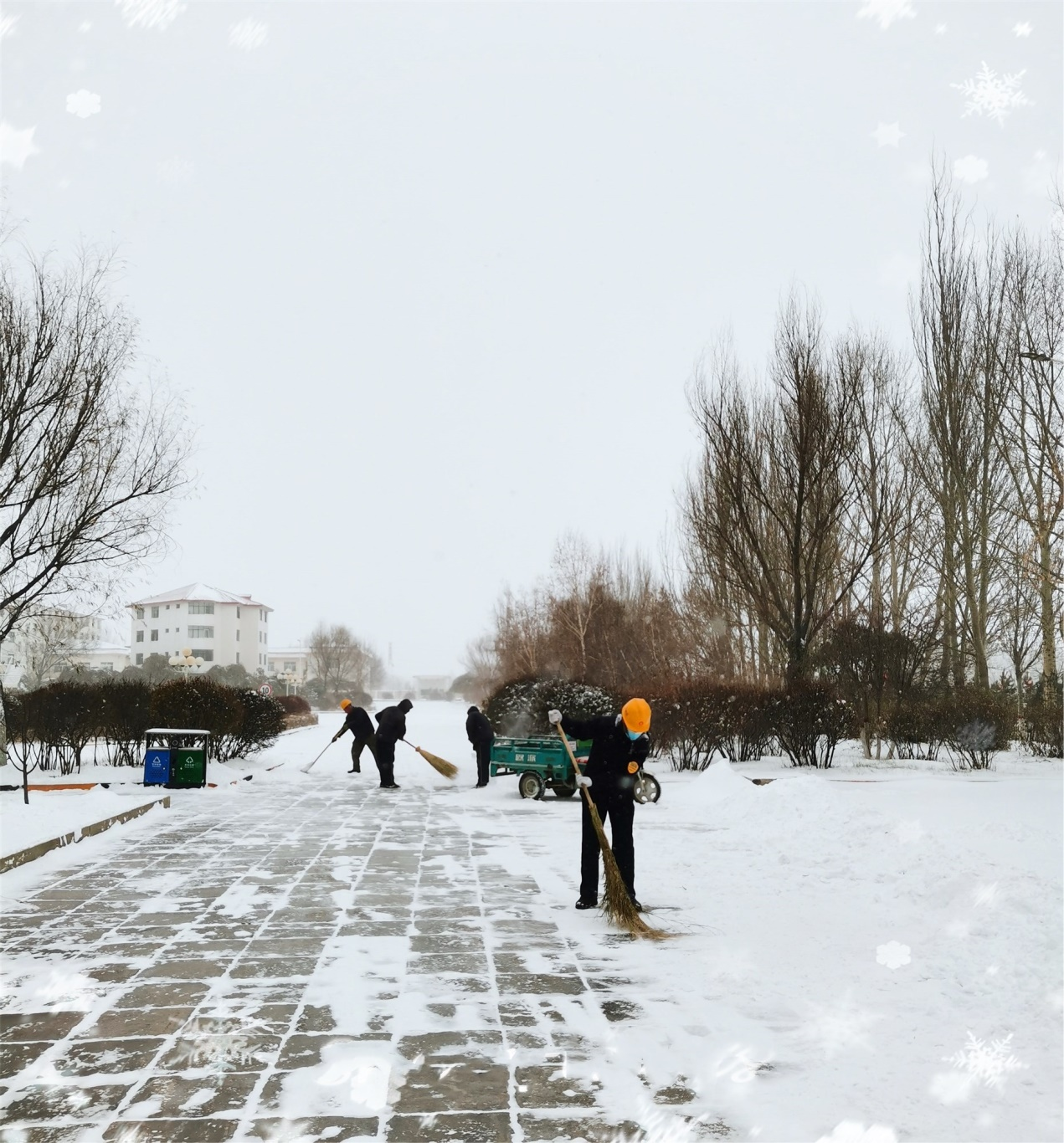 图片2_20211108_16014445