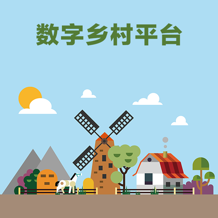描述
