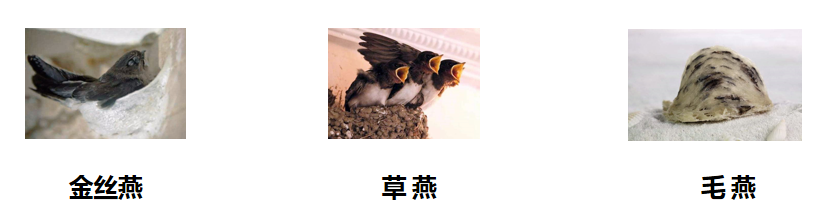 微信圖片_20210319142623