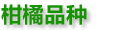 描述