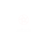 描述