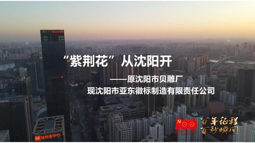 第一枚香港区徽是如何制作的？制作方法在沈阳