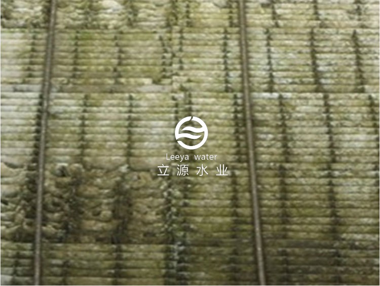 PP(聚丙烯)易滋生藻