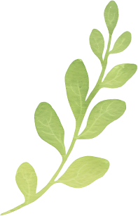 1761630011873a94acdc18a90ba7b