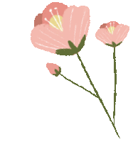 6919be56b34e791d7ca0e522b9bd8f96