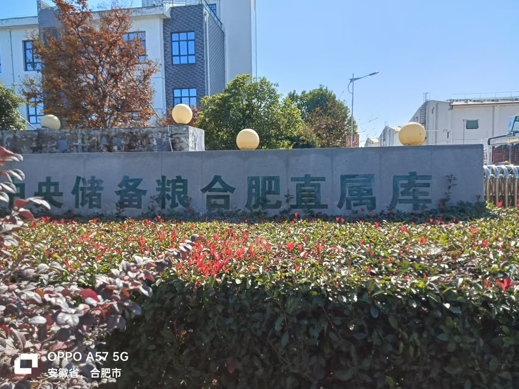 中储粮
