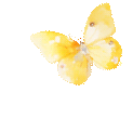 6f75f0579b4dc829a0b0aea1dd730d43