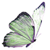 3f70b800e43bb568b40f6688d24661db