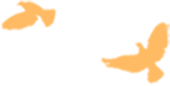 309693827e3879093ee0b2568db84189