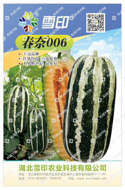 春奈006
