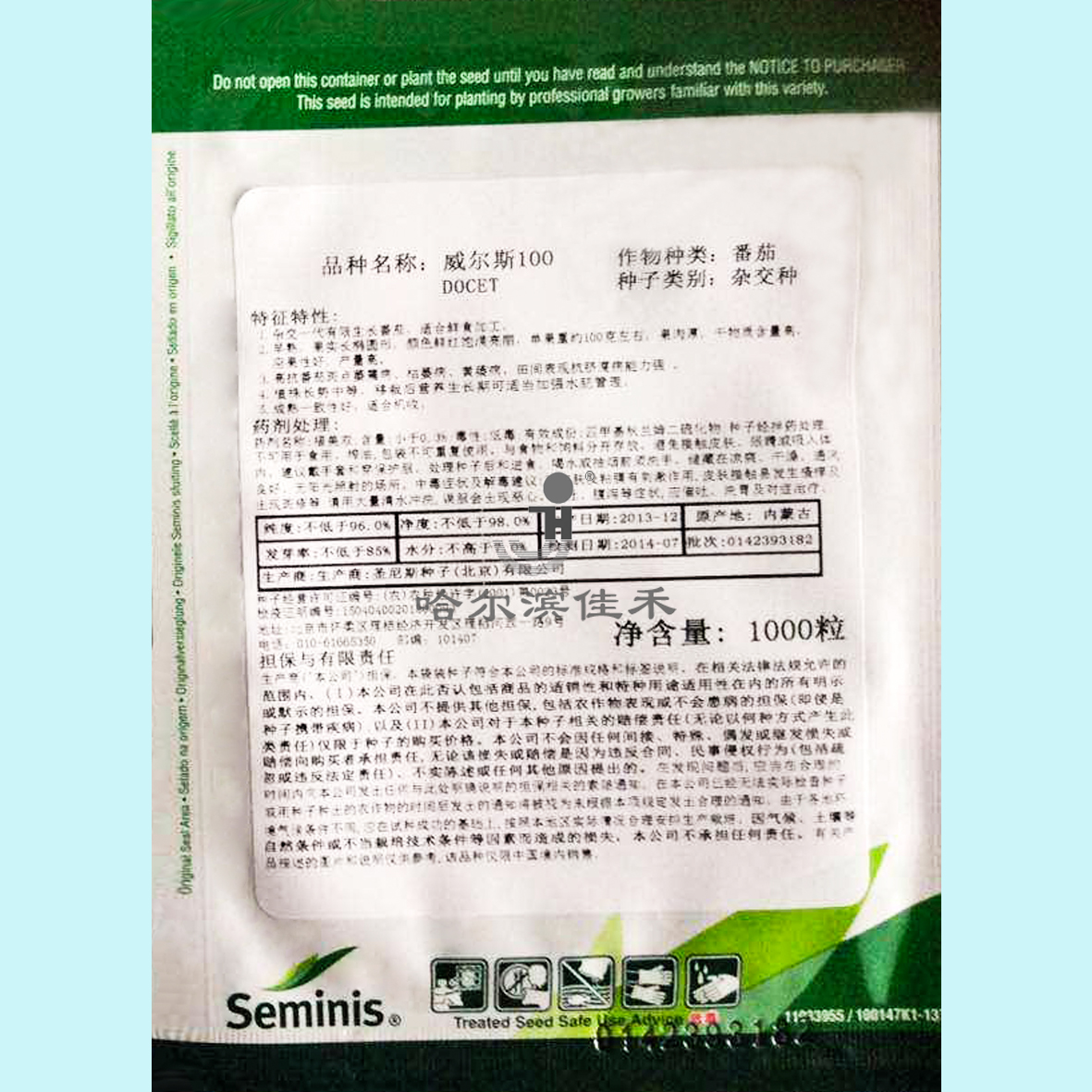 威尔斯100-地爬柿子