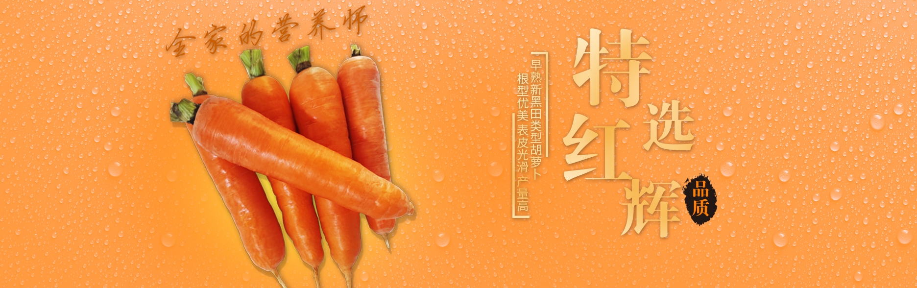 微信图片_20210419100920