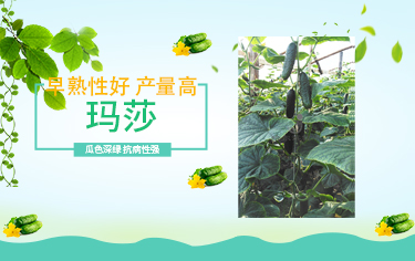 微信图片_20210419100948