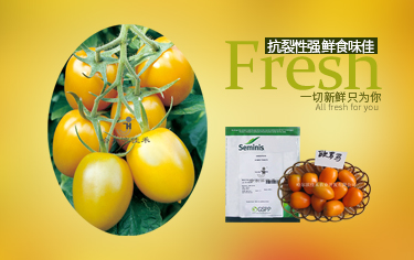 微信图片_20210419100952