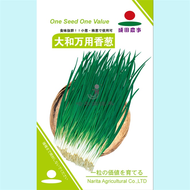 大和万用香葱
