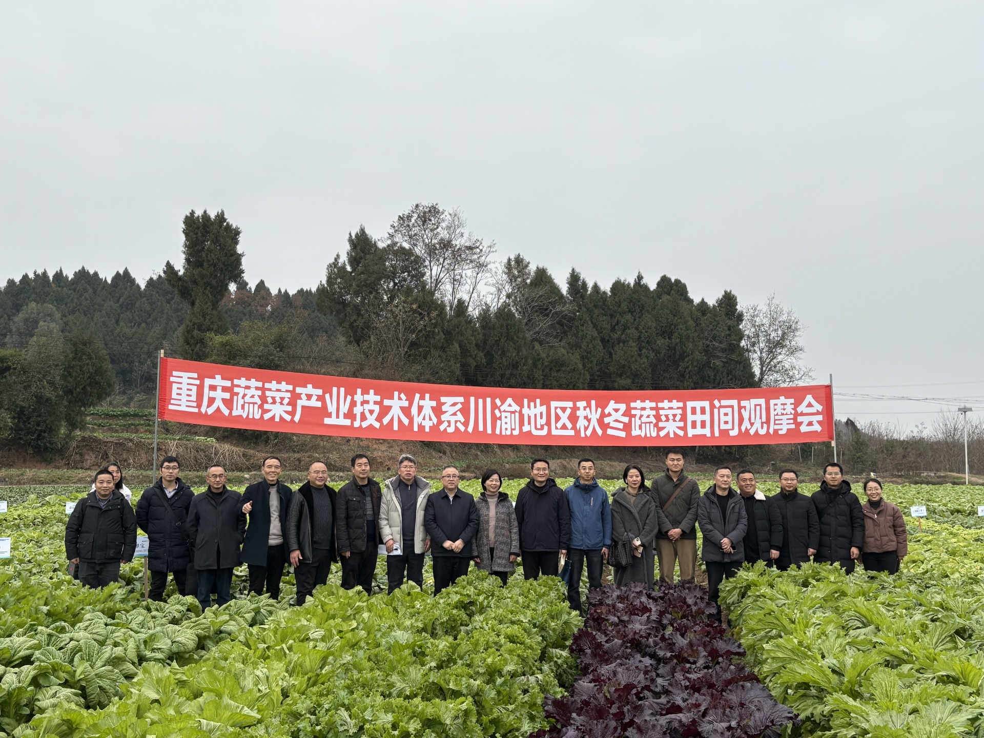 公司赴绵阳农科院果蔬所参加重庆蔬菜产业体系川渝地区秋冬蔬菜田间观摩会