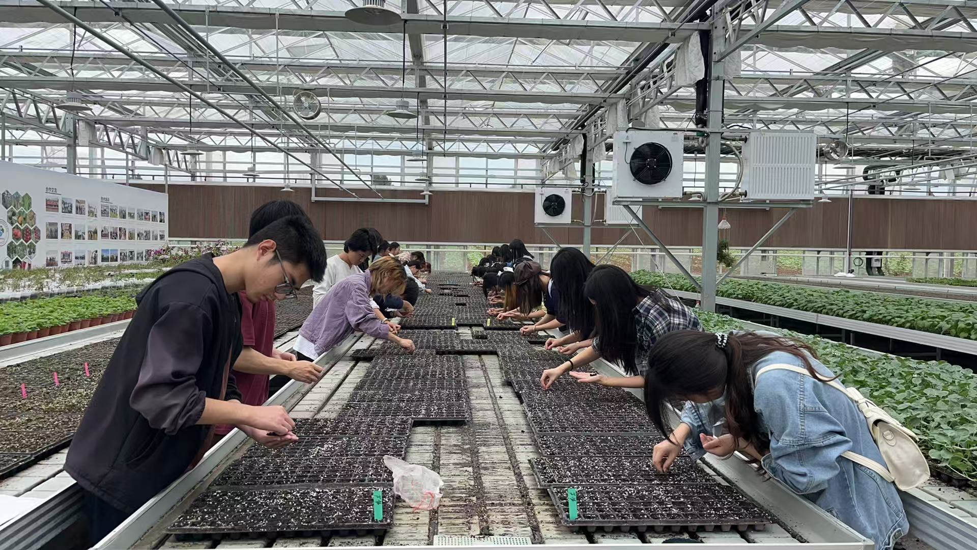 长江师范学院园艺专业师生赴西南研发中心开展专业实习
