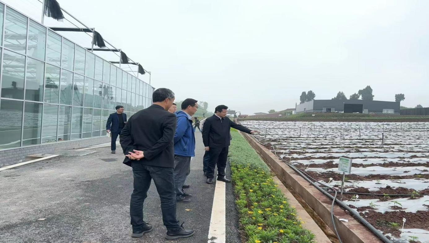 铜梁区委副书记周永刚赴西南研发中心了解建设和蔬菜种植生产情况