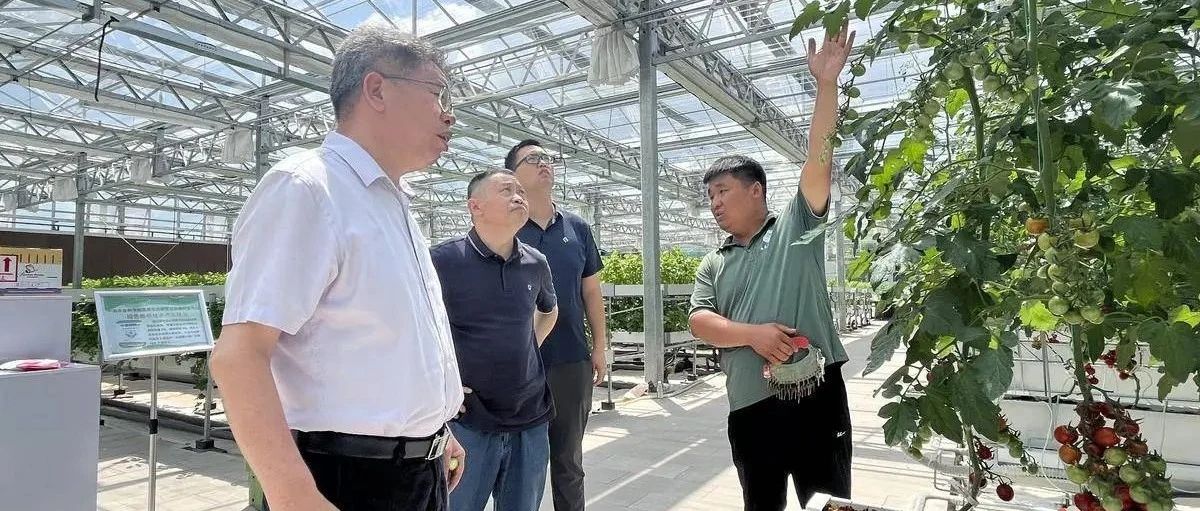 院企合作共商蔬菜产业升级新路径