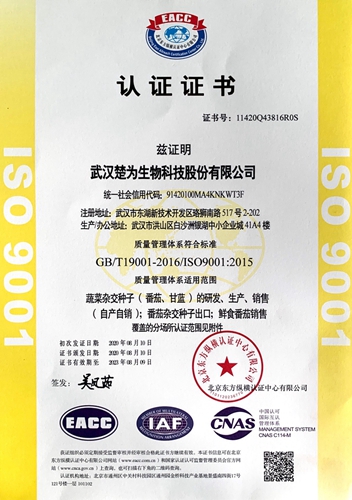 ISO認證中文