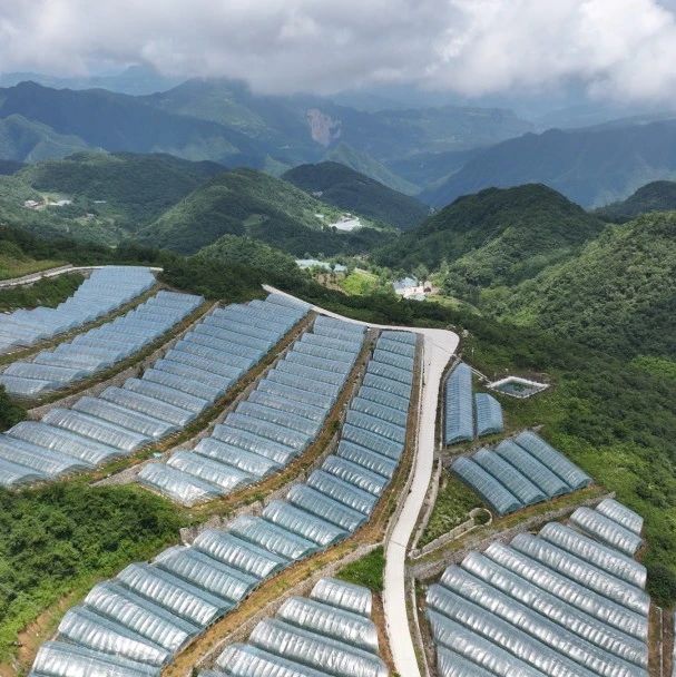 全国独一份的宝藏小镇！实地探秘来了→