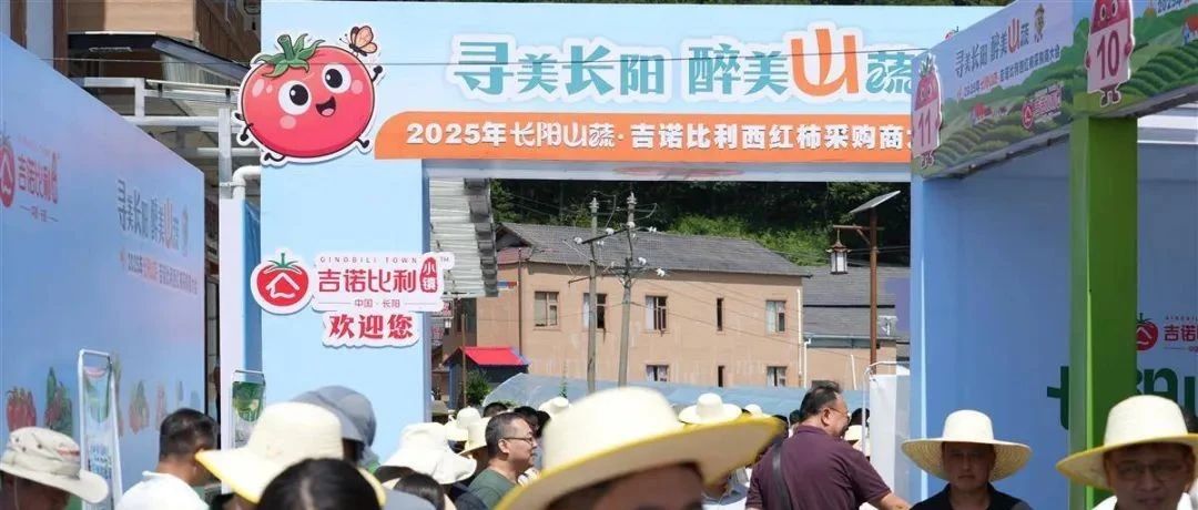 【企业新闻】吉诺比利小镇长阳启航，签约过亿元引各大媒体聚焦