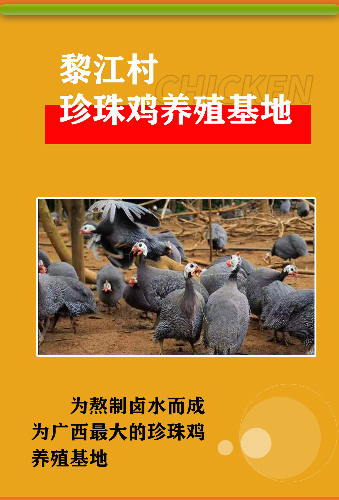 描述