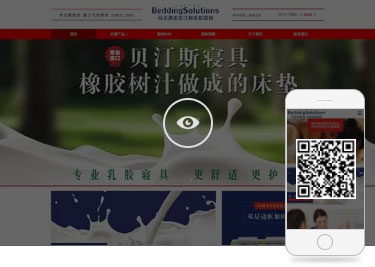贝汀案例上海网站建设公司设计