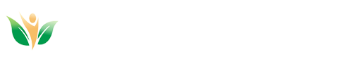 描述