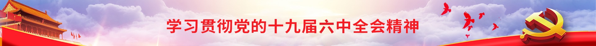 描述