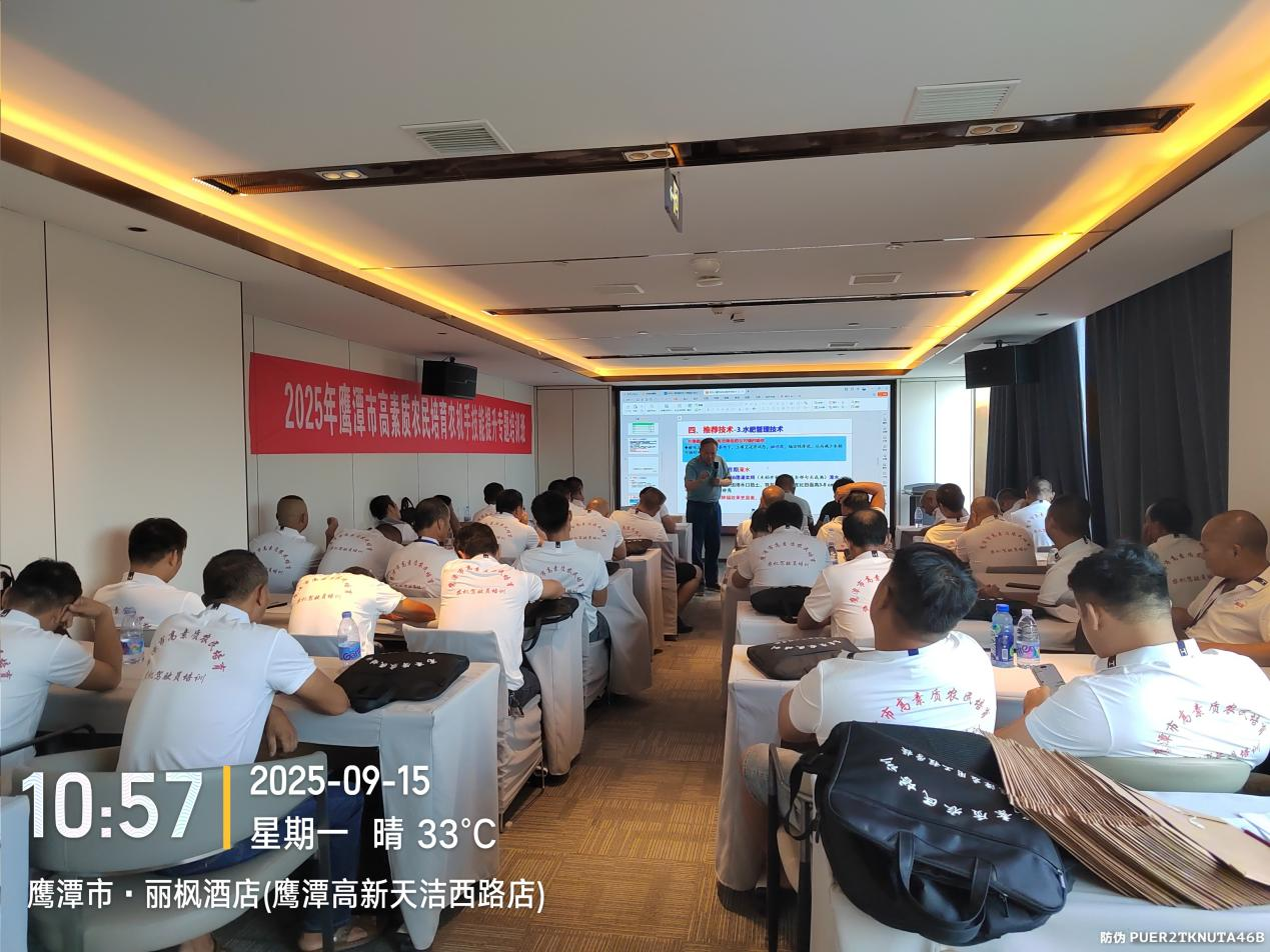 图片3_20250923_17586156480153520