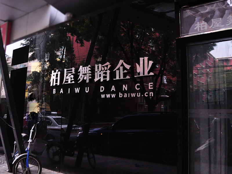 在中国西部省会银川建立大型产品基地；
首次参加意大利佛罗伦萨“DF”国际舞超博览会；